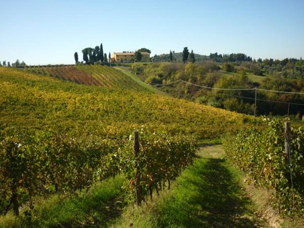 Antico Convento Medievale Villa Monterappoli Dış mekan fotoğraf